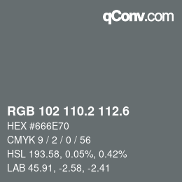 カラーコード: RGB 102 110.2 112.6 | qconv.com