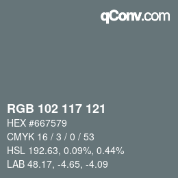 Color code: RGB 102 117 121 | qconv.com