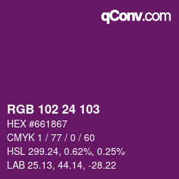 Color code: RGB 102 24 103 | qconv.com