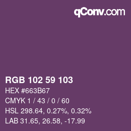 Color code: RGB 102 59 103 | qconv.com