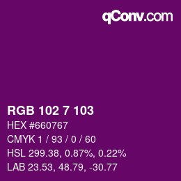 Color code: RGB 102 7 103 | qconv.com