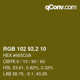 Color code: RGB 102 92.2 10 | qconv.com