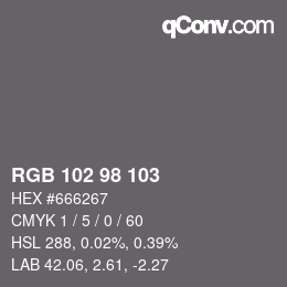 Color code: RGB 102 98 103 | qconv.com