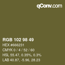 Color code: RGB 102 98 49 | qconv.com