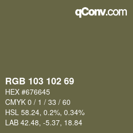 Color code: RGB 103 102 69 | qconv.com