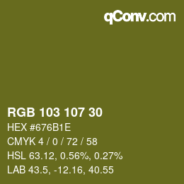 Color code: RGB 103 107 30 | qconv.com