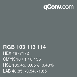 Color code: RGB 103 113 114 | qconv.com