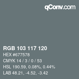 Farbcode: RGB 103 117 120 | qconv.com