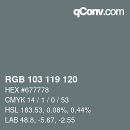 カラーコード: RGB 103 119 120 | qconv.com