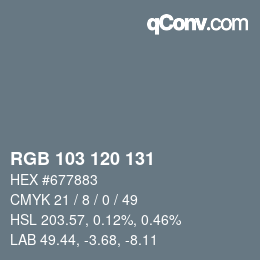 カラーコード: RGB 103 120 131 | qconv.com