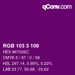 Color code: RGB 103 3 108 | qconv.com