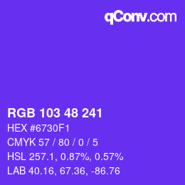 Color code: RGB 103 48 241 | qconv.com