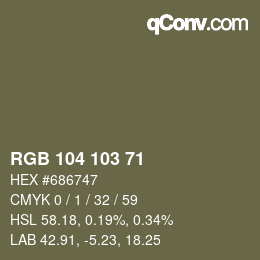 Color code: RGB 104 103 71 | qconv.com