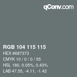 Code couleur: RGB 104 115 115 | qconv.com