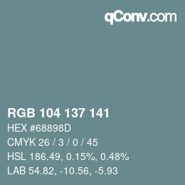 Código de color: RGB 104 137 141 | qconv.com