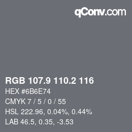 Color code: RGB 107.9 110.2 116 | qconv.com