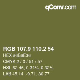 Color code: RGB 107.9 110.2 54 | qconv.com