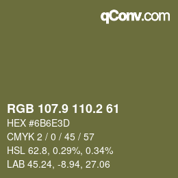 Color code: RGB 107.9 110.2 61 | qconv.com