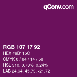 Color code: RGB 107 17 92 | qconv.com