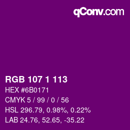 Color code: RGB 107 1 113 | qconv.com