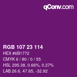 Color code: RGB 107 23 114 | qconv.com