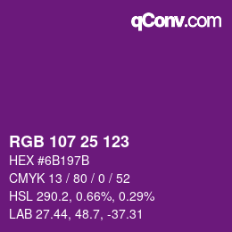 Color code: RGB 107 25 123 | qconv.com
