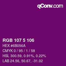 Color code: RGB 107 5 106 | qconv.com