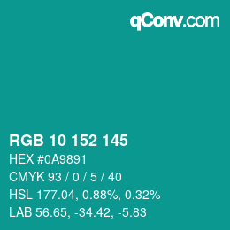 Color code: RGB 10 152 145 | qconv.com