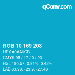 Color code: RGB 10 169 203 | qconv.com