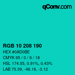 Color code: RGB 10 208 190 | qconv.com