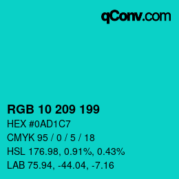 Color code: RGB 10 209 199 | qconv.com