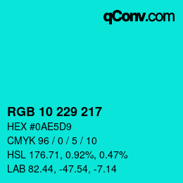 Color code: RGB 10 229 217 | qconv.com