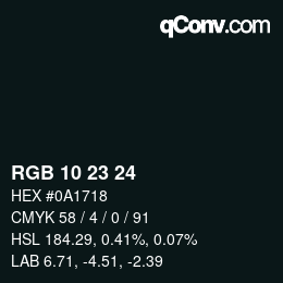 Color code: RGB 10 23 24 | qconv.com