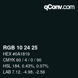 Color code: RGB 10 24 25 | qconv.com