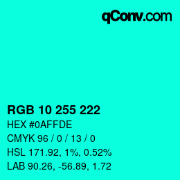 Color code: RGB 10 255 222 | qconv.com