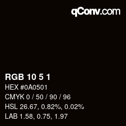 颜色代码: RGB 10 5 1 | qconv.com
