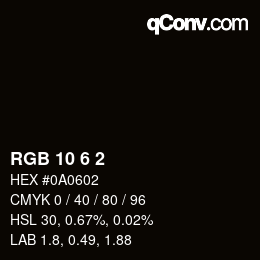 Color code: RGB 10 6 2 | qconv.com