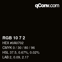 カラーコード: RGB 10 7 2 | qconv.com