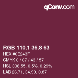 Color code: RGB 110.1 36.8 63 | qconv.com