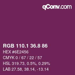 カラーコード: RGB 110.1 36.8 86 | qconv.com