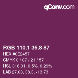 カラーコード: RGB 110.1 36.8 87 | qconv.com