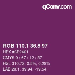 カラーコード: RGB 110.1 36.8 97 | qconv.com