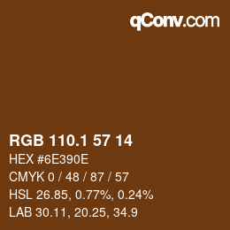 カラーコード: RGB 110.1 57 14 | qconv.com