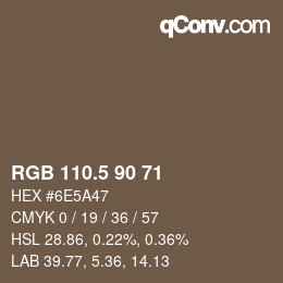 Color code: RGB 110.5 90 71 | qconv.com