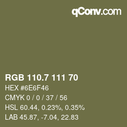 カラーコード: RGB 110.7 111 70 | qconv.com