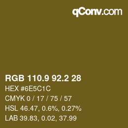 Color code: RGB 110.9 92.2 28 | qconv.com