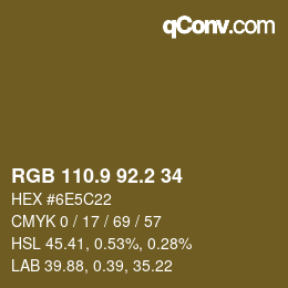 Color code: RGB 110.9 92.2 34 | qconv.com