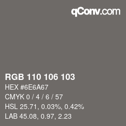 Color code: RGB 110 106 103 | qconv.com