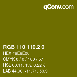 カラーコード: RGB 110 110.2 0 | qconv.com