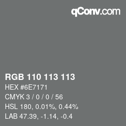 Color code: RGB 110 113 113 | qconv.com